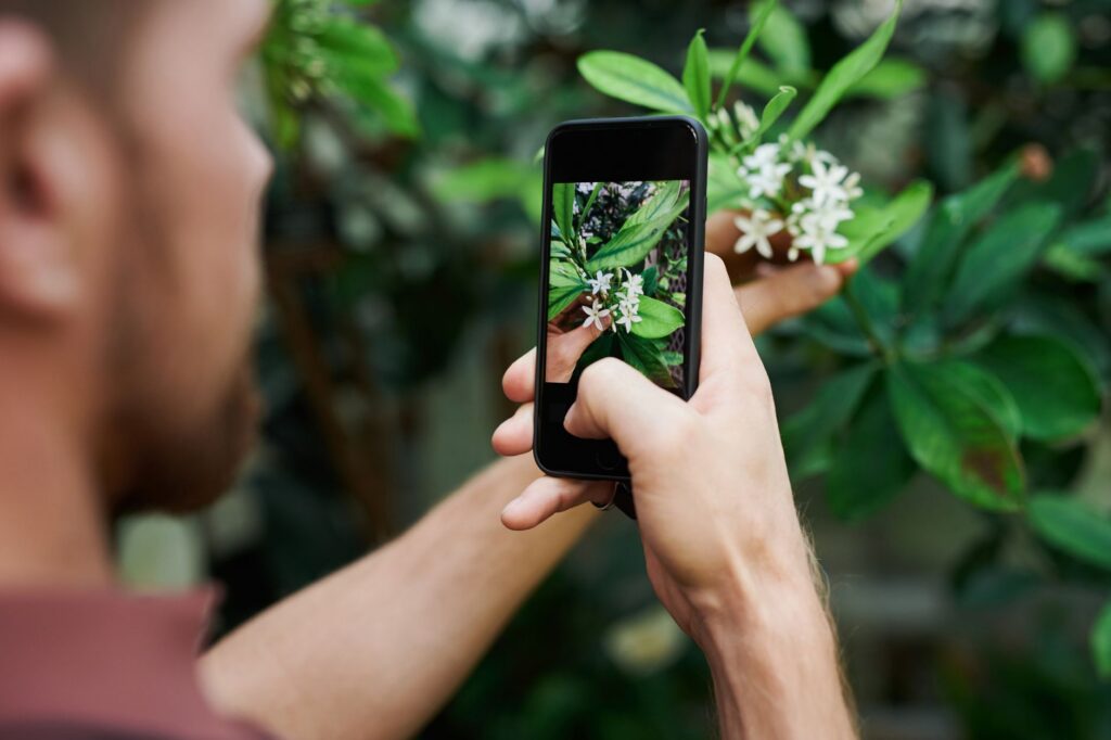 Getting Your Phone Settings Closer to What You Actually See - photographing it