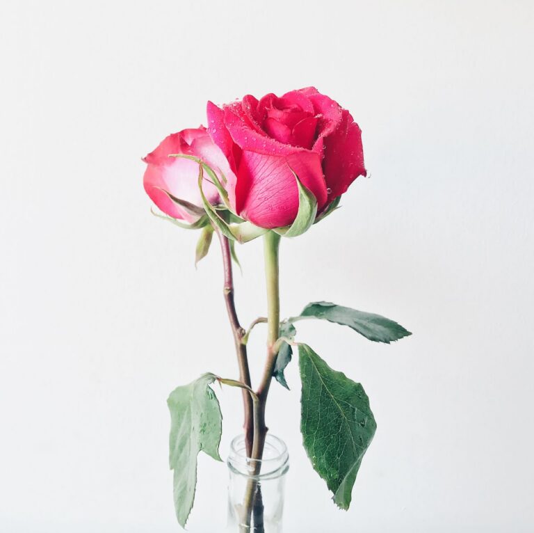 The Single Flower Rule - color in small doses
