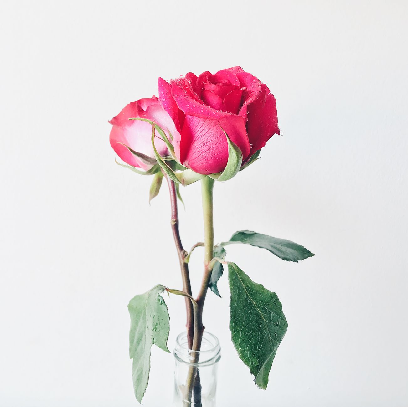 The Single Flower Rule - color in small doses