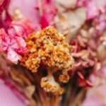 The Dried Flower Colors Nobody Talks About - flowers & plants