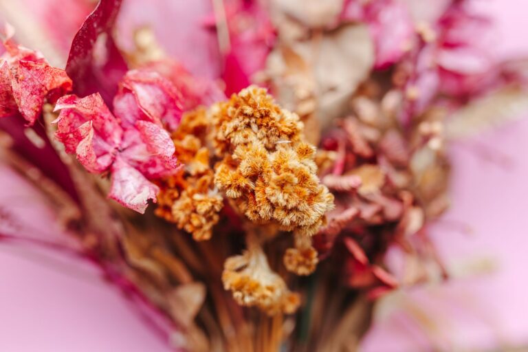The Dried Flower Colors Nobody Talks About - flowers & plants
